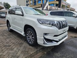 2019 TOYOTA LAND CRUISER PRADO TX.L