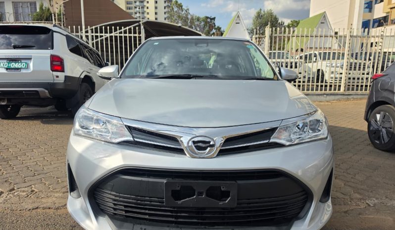 
2019 TOYOTA AXIO full									